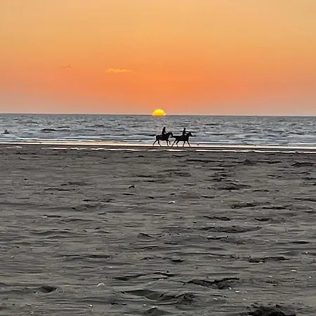 La Jardin Premium - 2 Personnes - Daire Deauville