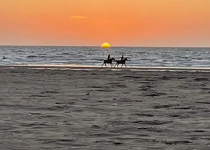 La Jardin Premium - 2 Personnes - Apartment Deauville